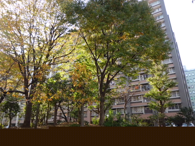 大森駅前住宅　２号棟 
