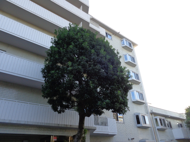 大森山王ホームズ 