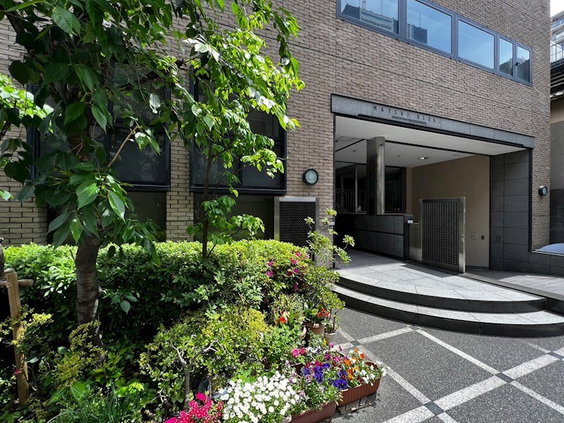 KOMAGATA MATSUI BLDG 庭