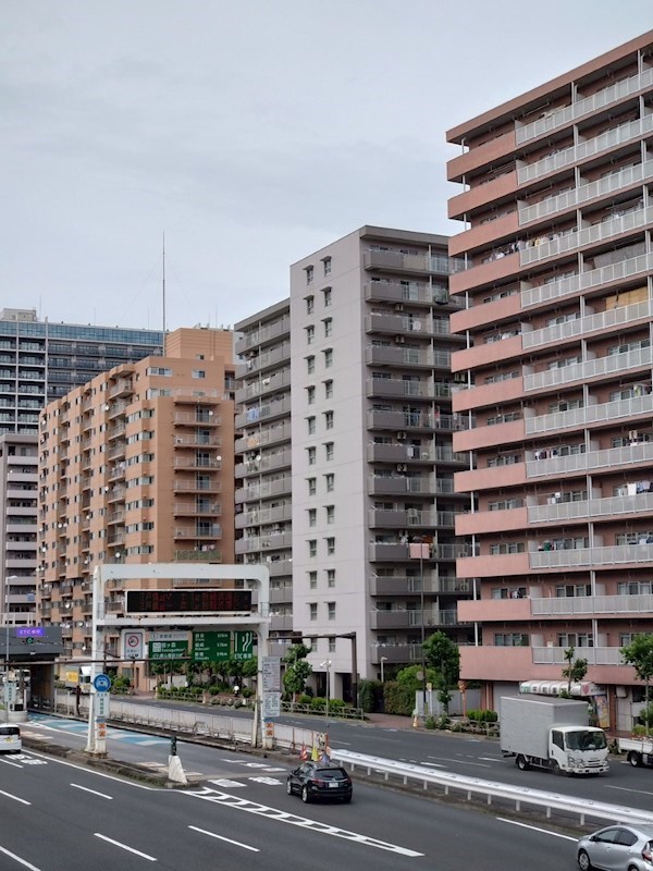 現地写真
