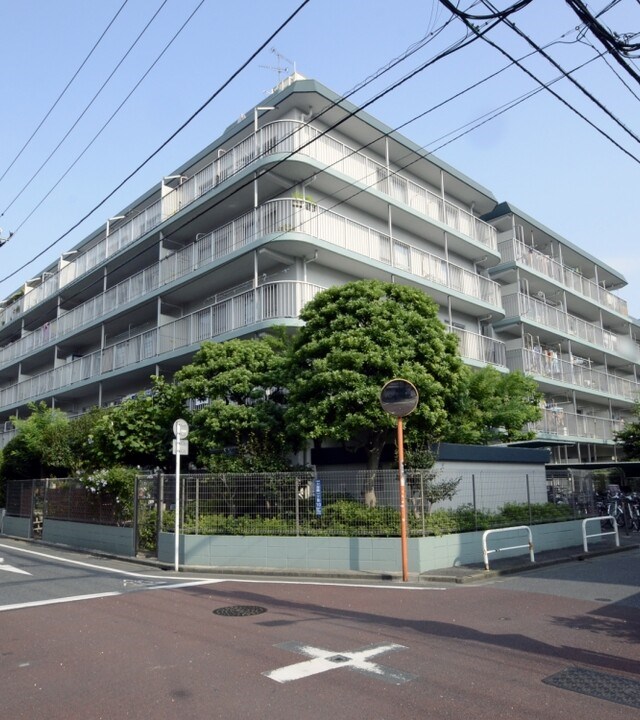 現地写真
